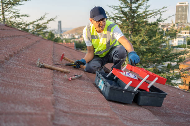 Best Hoarding Cleanup  in Pierson, FL